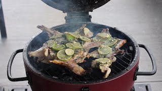 Red Snapper Fishing! Grilling fillets and THROATS - catch, clean, cook