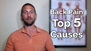 Back Pain Top 5 Causes - Rinella Prosthetics & Orthotics