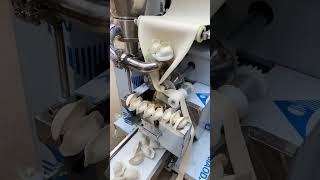 Automatic dumpling machineFast food production, automation