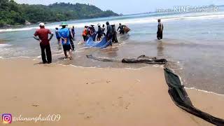 Seperti inilah keseruan Tarik jaring warga Desa Munjungan di Pantai Blado...