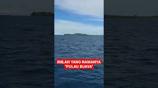 PULAU BUAYA 🐊 || BEGITULAH SEBUTAN MELEGENDA UNTUK PULAU YANG SATU INI.