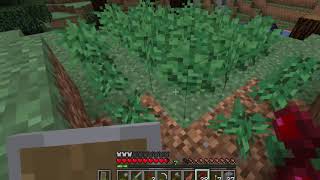 Minecraft Gameplay 2