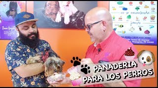 "UNA PANADERIA PARA PERROS" - PASTELERIA AMOR Y LEALTAD