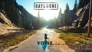 Деньки Ушли (Days Gone). Часть 8.