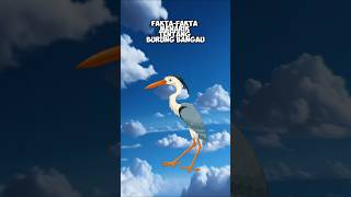 "FAKTA-FAKTA MENARIK TENTANG BURUNG BANGAU" #burungbangau #animallover #animalshorts #animals