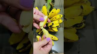 Dwarf banana #shorts #bananas #youtubeshorts