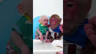 Dad and Bibi take care of Lala together #babymonkey #monkey #monkeybibi  #viralvideo #shorts