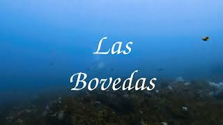 Diving Las Bovedas