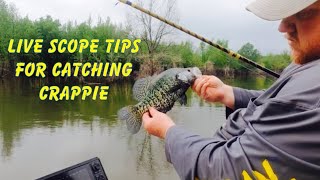 Tips for catching crappie with Live Scope from J’s Jigs and guide service.