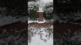 Snow in the Presidents' Garden