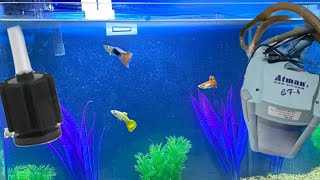 Aquarium filtration 101: choosing the right filter for your fish tank. complete guide for filters.