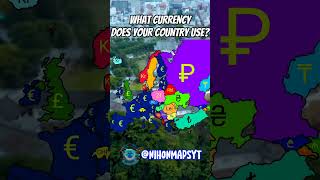 What currency does your country use?