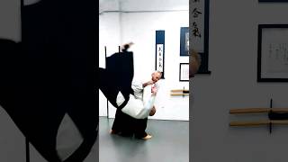 MIZU DOJO. Makoto Aikido. Irimi Nage Omote