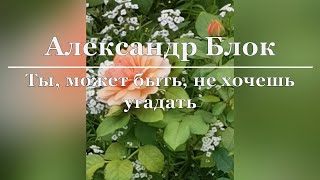 Александр Блок - Ты, может быть, не хочешь угадать