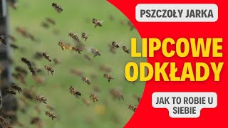 Kilka kroków do zrobienia nowej rodziny