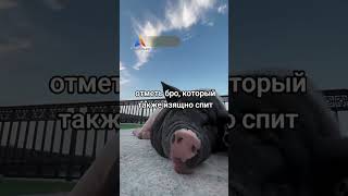 друг постоянно спит  #юмор #рек #прикол