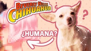 ¿Y si Una CHIHUAHUA de BERVERLY HILLS fuese HUMANA? - SpeedPaint