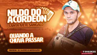 Nildo do acordeon ( Canta Ivete sangalo )