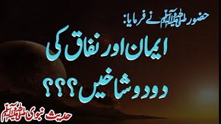 Iman Our Nifaq Ki Do Do Shakhain Hain? | Hadees Of The Day | The Prophet Saw AQH Official