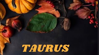 TAURUS ♉️ NOVEMBER LOBE READING ❤️ THEY WANT TO MAKE THINGS RIGHT WITH YOU 🙏🏾