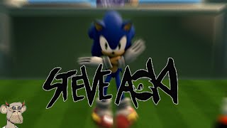 Steve Aoki x Sonic concert in a nutshell (SFM)