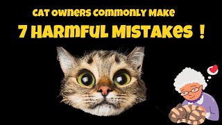 7 Harmful Mistakes Cat Owners Commonly Make |  Don't Hurt Your Cat Unintentionally