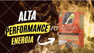 A RAÇÃO QUE VAI AUMENTAR A PERFORMANCE DA SUA AVE NO TORNEIO / NUTROPICA POWER COLEIROS.