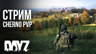 НОВИЧКИ  НА PVP / DayZ CHERNORUS / САМАЯ РЕАЛИСТИЧНАЯ ВЫЖИВАЛКА