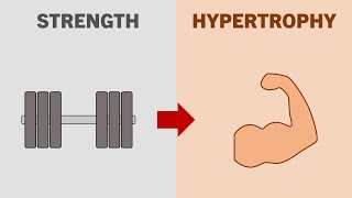 Does Strength Potentiate Hypertrophy?