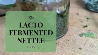 Lacto-Fermented Nettle - A Tasty Natural Fermentation