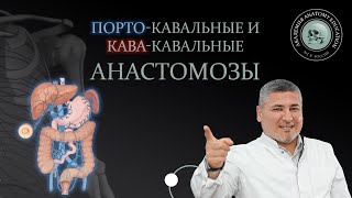 Порто-кавальные и кава-кавальные анастомозы / ANASTOMOSES