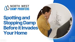 Winter Warning: How to Spot and Stop Damp Invading Your Home This Winter