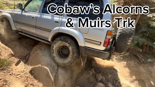 Cobaw is awesome for tough wheeling! Alcorns, Muirs & Mansfiled Trks! Tagumpay Bisdak DownUnder 4X4!