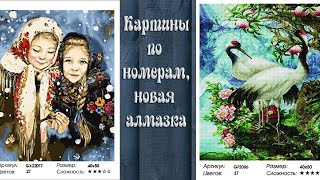 Алмазная мозаика и картины по номерам. Пришел заказ #2