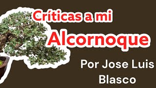 Critica a mi Alcornoque por parte de Jose luis Blasco