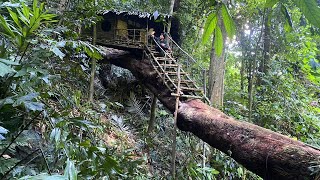 Full Video 1 Month Solo Bushcraft. Build a box-shaped house on a tree. Survive in the Wild.