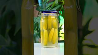 Quick And Easy Recipe For Pickled Cucumber | How To Make Pickled Cucumber  #shorts  #cooking #food