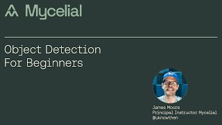 Object Detection For Beginners (Yolov8)