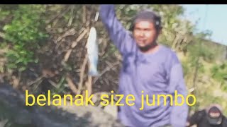 mancing belanak di muara