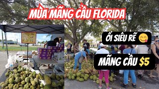 Chợ Trời Người Việt Đông Vui Nhiều Trái Cây Tươi Ngon | Clearwater FL