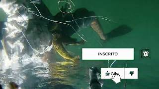 pesca sub 2020 em aguá doce