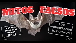 9 Mitos Populares que son FALSOS