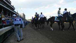 Kentucky Derby 2015 - American Pharoah