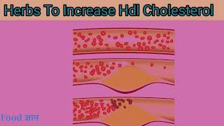 HDL (Good) Cholesterol बढ़ाने में मदद करेंगी ये 5 जड़ी बूटियां, इस्तेमाल का तरीका