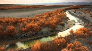 LORNE GREENE - Waco