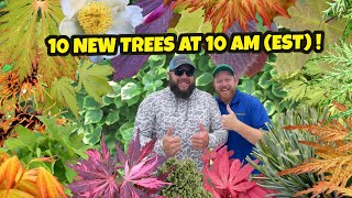 The Summer All Star 10 New Trees at 10 AM (EST) | Japanese Maples and Rare Trees For The Home Garden