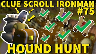 I Completed EVERY Clue Tier! - Clue Scroll Ironman #75 (Hound Hunt)