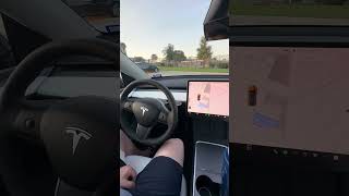 Tesla's New Autopark is Next Level!!