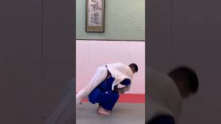 MOROTE SEOI NAGE - bend your knees !