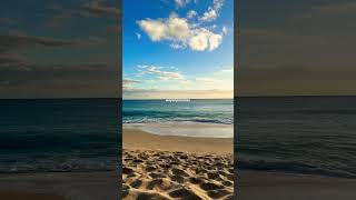 Relaxing Ocean Sights & Sounds #shorts #sightsandsounds #hawaii #beach #sunset